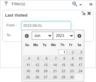Date based filtering with the input field calendar visible